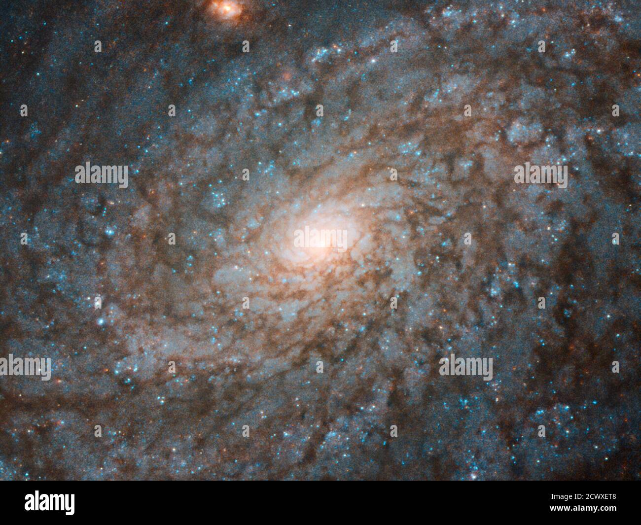 Hubble gazes at Fluffy-looking Galaxy questa immagine presa dal telescopio spaziale Hubble NASA/ESA mostra la galassia NGC 4237. Situato a circa 60 milioni di anni luce dalla Terra nella costellazione di Coma Berenice (capelli di Berenice), NGC 4237 è classificato come una galassia a spirale flocculante. Ciò significa che i suoi bracci a spirale non sono chiaramente distinguibili tra loro, come nelle galassie a spirale "Grand design", ma sono piuttosto irregolari e discontinui. Questo conferisce alla galassia un aspetto soffice, un po' simile al cotone soffiato. Gli astronomi che studiavano NGC 4237 erano in realtà più interessati al suo bu galattico Foto Stock