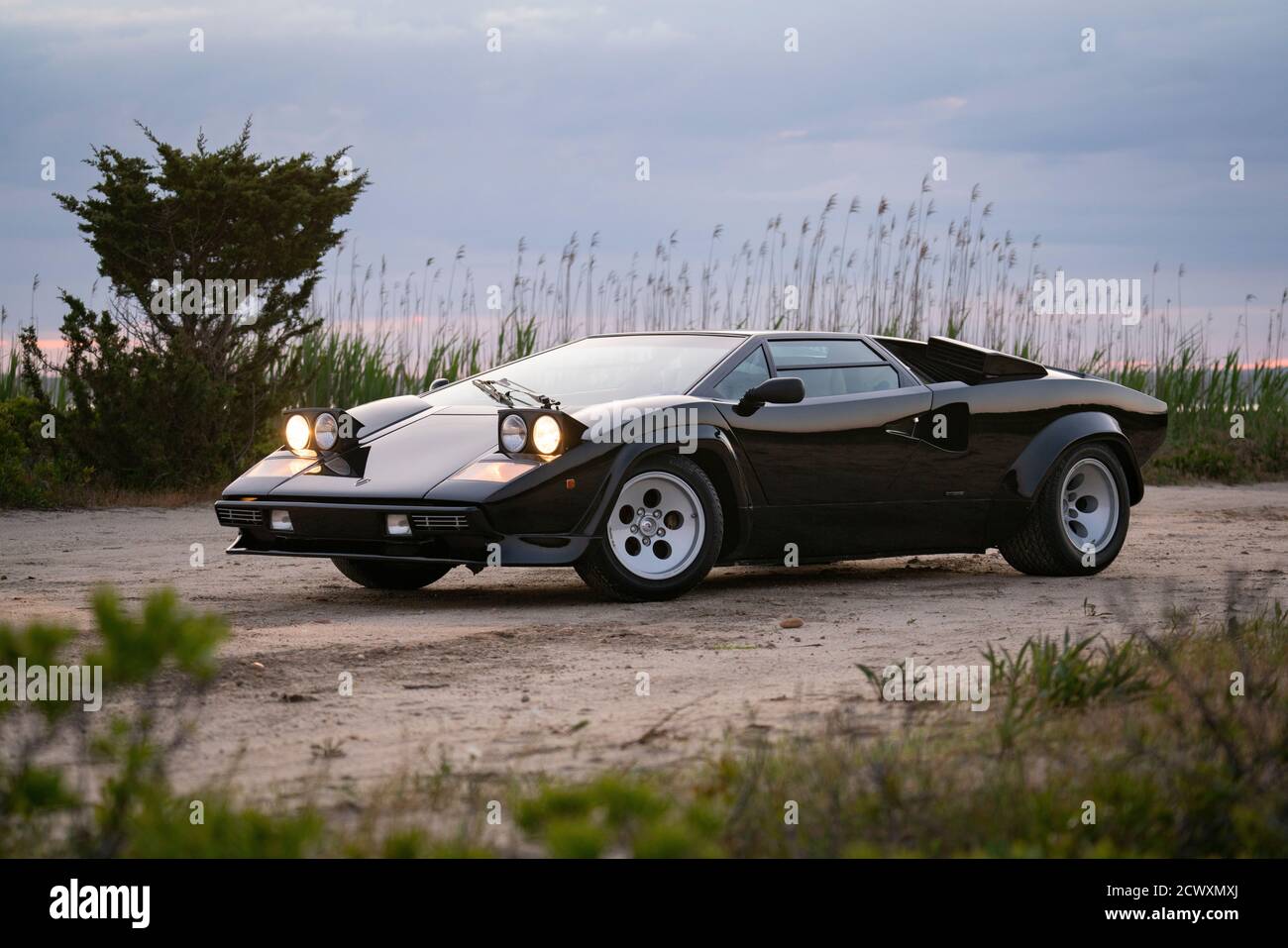 Vista frontale 3/4 di un Lamborghini Countach 1985 5000QV. Foto Stock