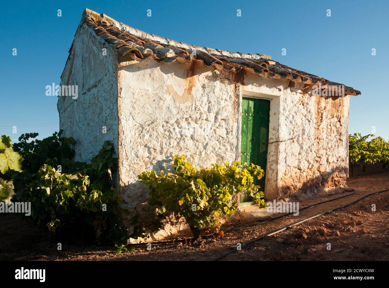 Vigneti e casa di campagna a Mollina, Málaga. Andalusia, Spagna Foto Stock