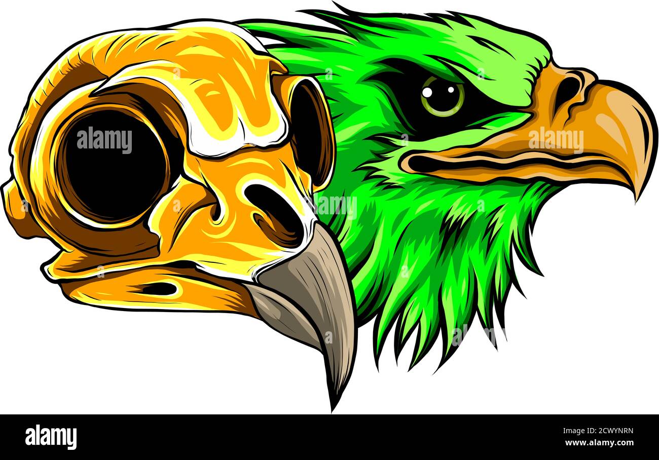 Vector aquila calva o Hawk testa grafica mascotte Illustrazione Vettoriale