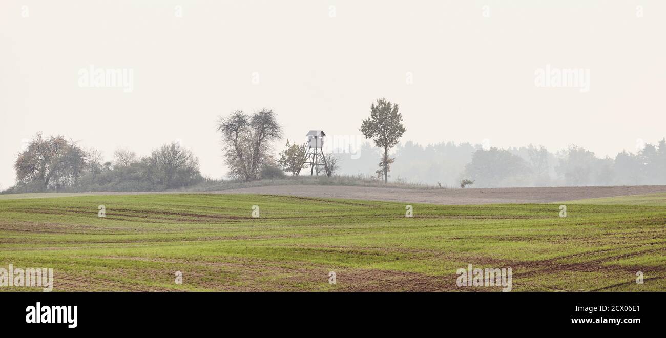 Paesaggio rurale con cieca di caccia in legno su un campo in una mattina autunnale nebbiosa, tonalità di colore applicata. Foto Stock