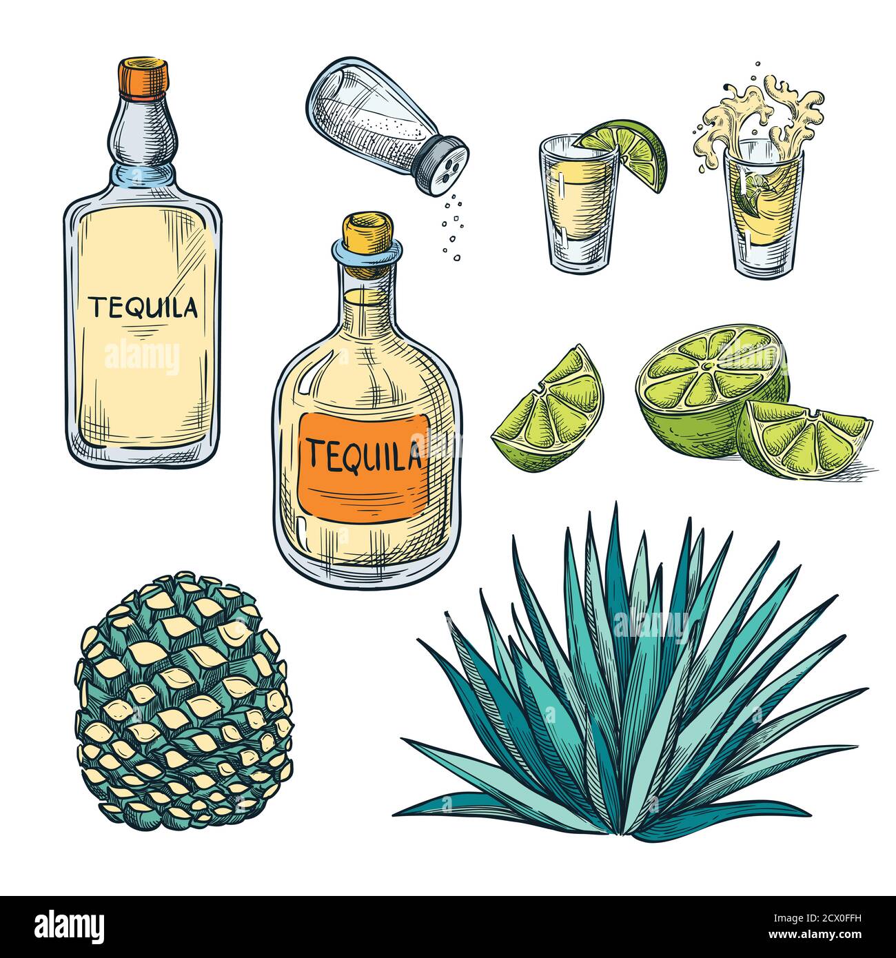 Bottiglia di tequila, bicchiere per shot e ingredienti di radice di agave, illustrazione dello schizzo a colori vettoriali. Elementi di design del menu delle bevande alcoliche messicane. Illustrazione Vettoriale