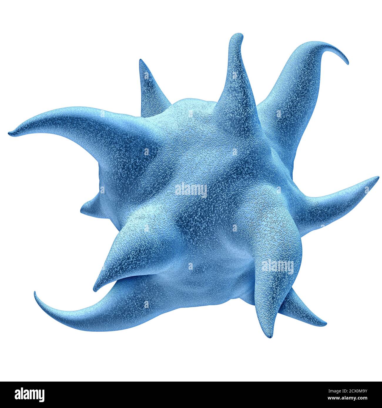 Concetto di anatomia delle piastrine e dei trombociti e simbolo delle piastrine attivate isolato su sfondo bianco come rappresentazione 3D. Foto Stock