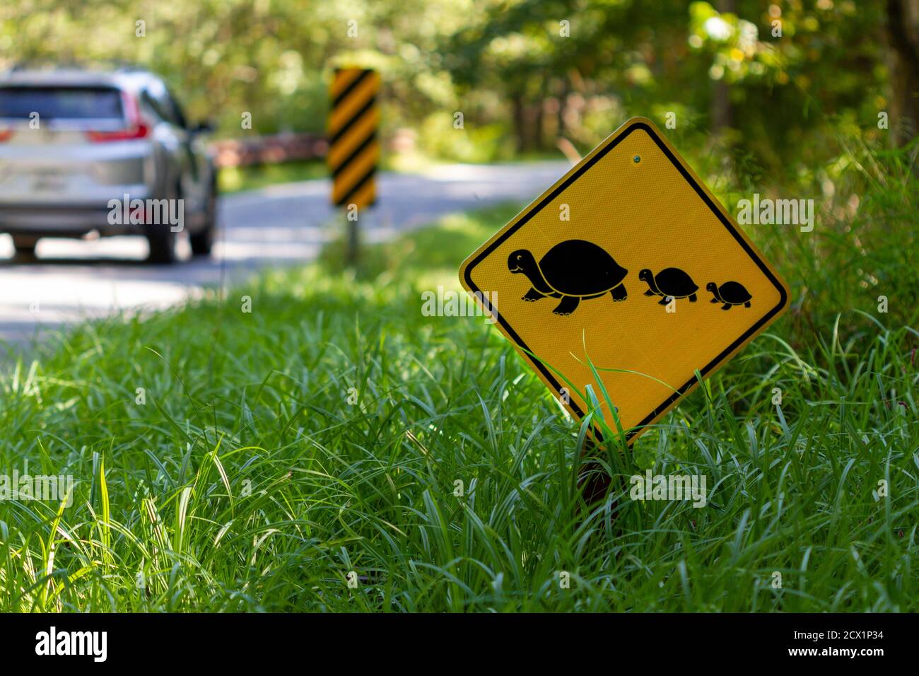 Un cartello stradale in un rifugio faunistico che avverte i conducenti di animali selvatici che attraversano la strada. Mira a evitare che gli animali vengano colpiti dalle automobili. Viene visualizzato un segnale Foto Stock