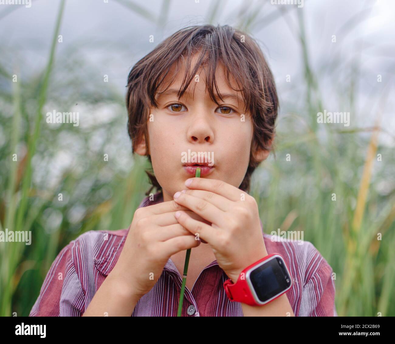 Primo piano di un ragazzo che soffia in una canna vuota a. riproduci musica all'esterno Foto Stock