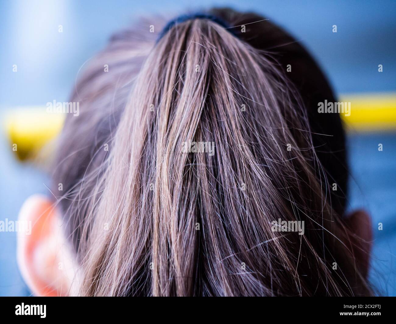 coda pony capelli