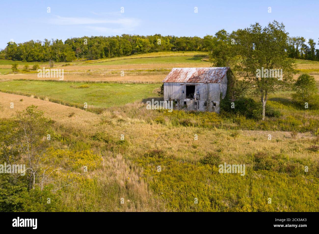 Atlasburg, Pennsylvania - un vecchio fienile in una fattoria nel sud-ovest della Pennsylvania. Foto Stock