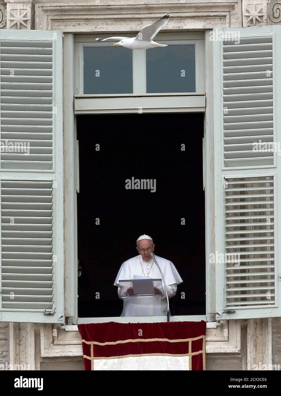 A seagull flies past as newly elected Pope Francis appears at the window of his future private apartment to bless the faithful, gathered below in St. Peter's Square, during the Sunday Angelus prayer at the Vatican March 17, 2013. REUTERS/Alessandro Bianchi (VATICAN - Tags: RELIGION) Foto Stock
