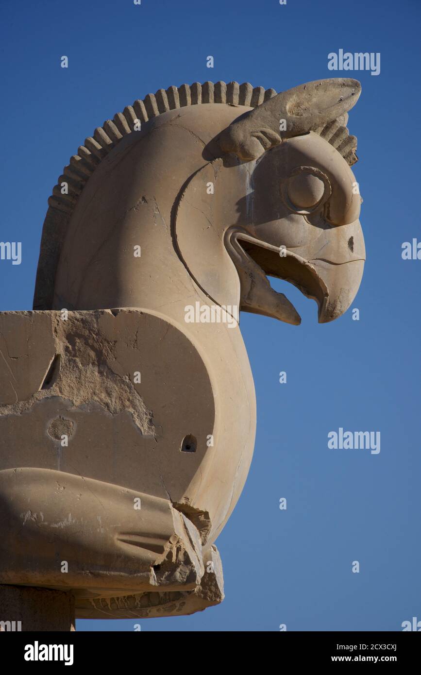 Dettaglio della GRIFFIN. Homa bird. Rovine achemenide di Persepolis, Iran. Foto Stock