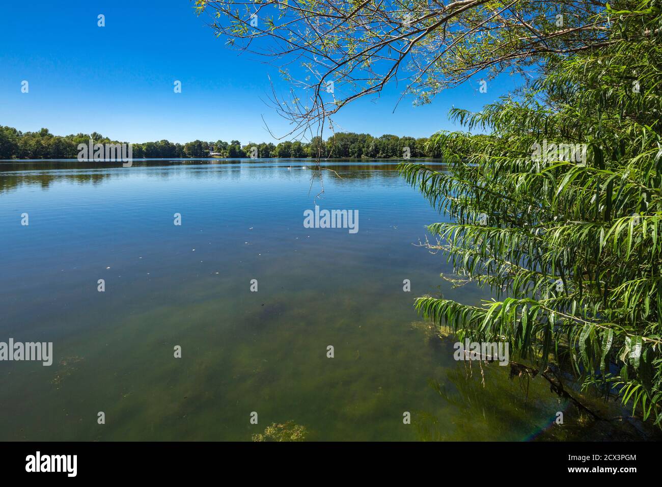 Dorsten, Dorsten-Holsterhausen, Lippe, Ruhrgebiet, Naturpark Hohe Mark Westmuensterland, Muensterland, Westfalen, Nordrhein-Westfalen, NRW, Blauer See Foto Stock