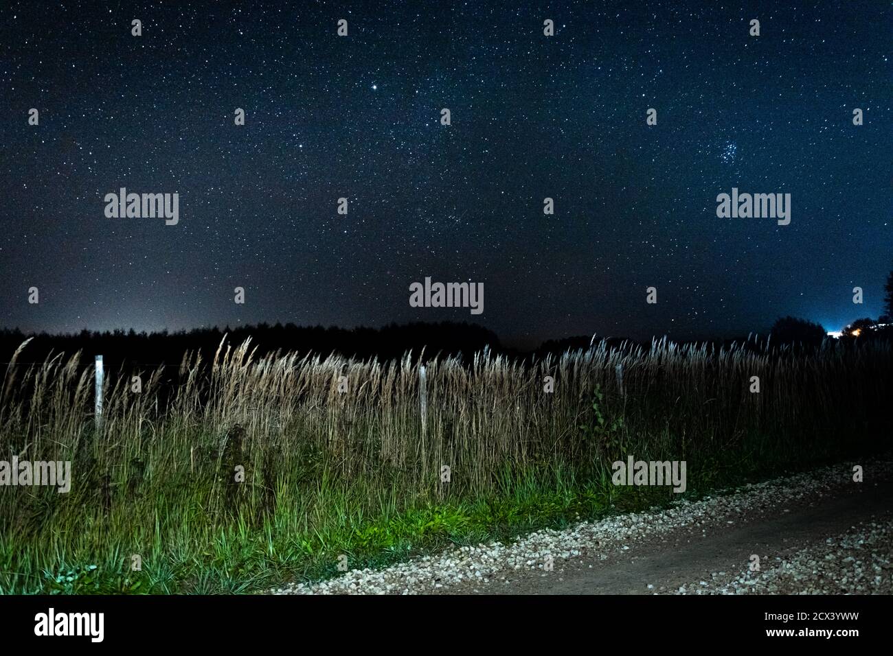 Vista sulla strada di campagna e cielo notturno limpido con strada lattea e un'enorme quantità di stelle. Foto Stock