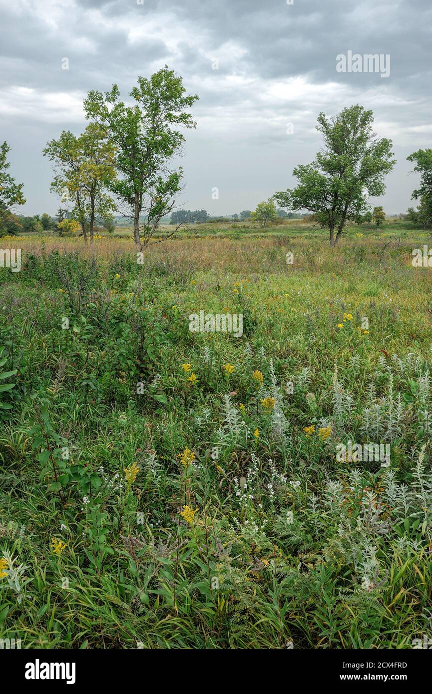 Nord America, Midwest, Minnesota, Pipestone, Monumento Nazionale, Prairie, Foto Stock