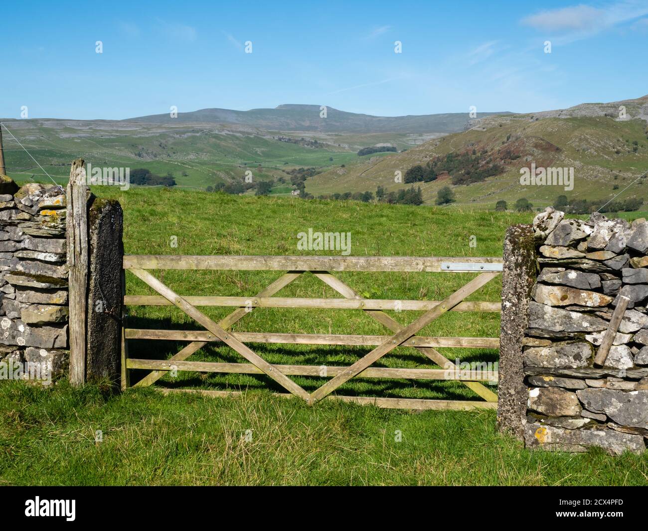 OLYMPUS FOTOCAMERA DIGITALE Foto Stock