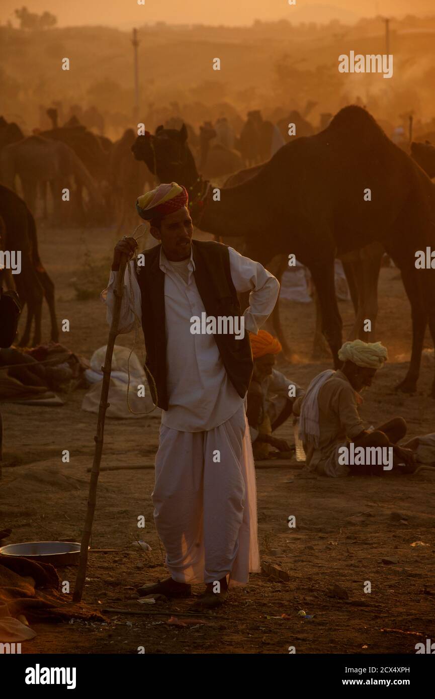 Sunset scena a Puskar Camel Fair, Rajasthan, India Foto Stock
