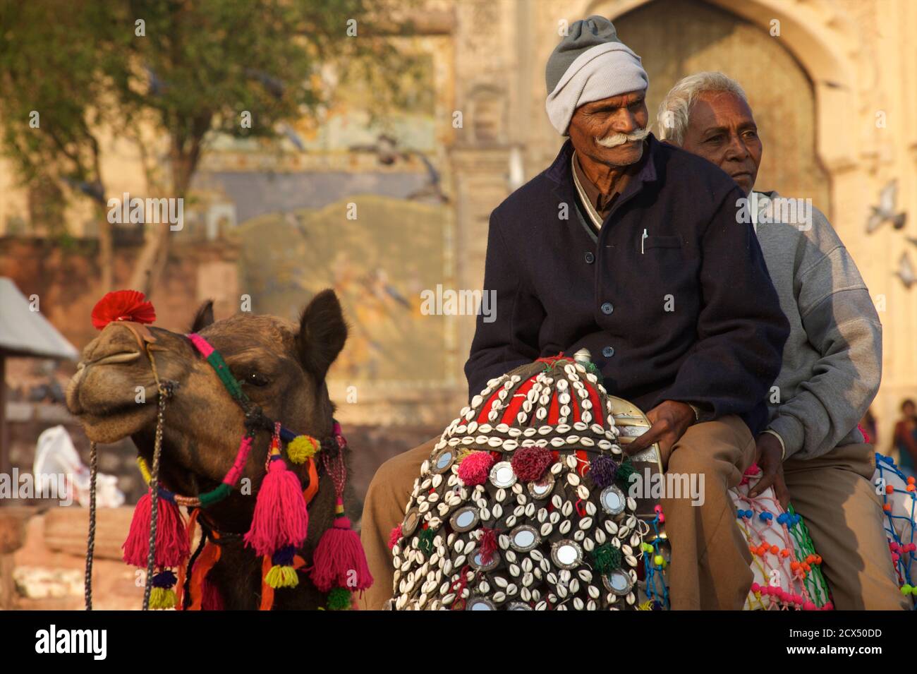 Indiano turisti domestici fuori Forte Mehrangarh, Jodhpur, Rajasthan, India Foto Stock