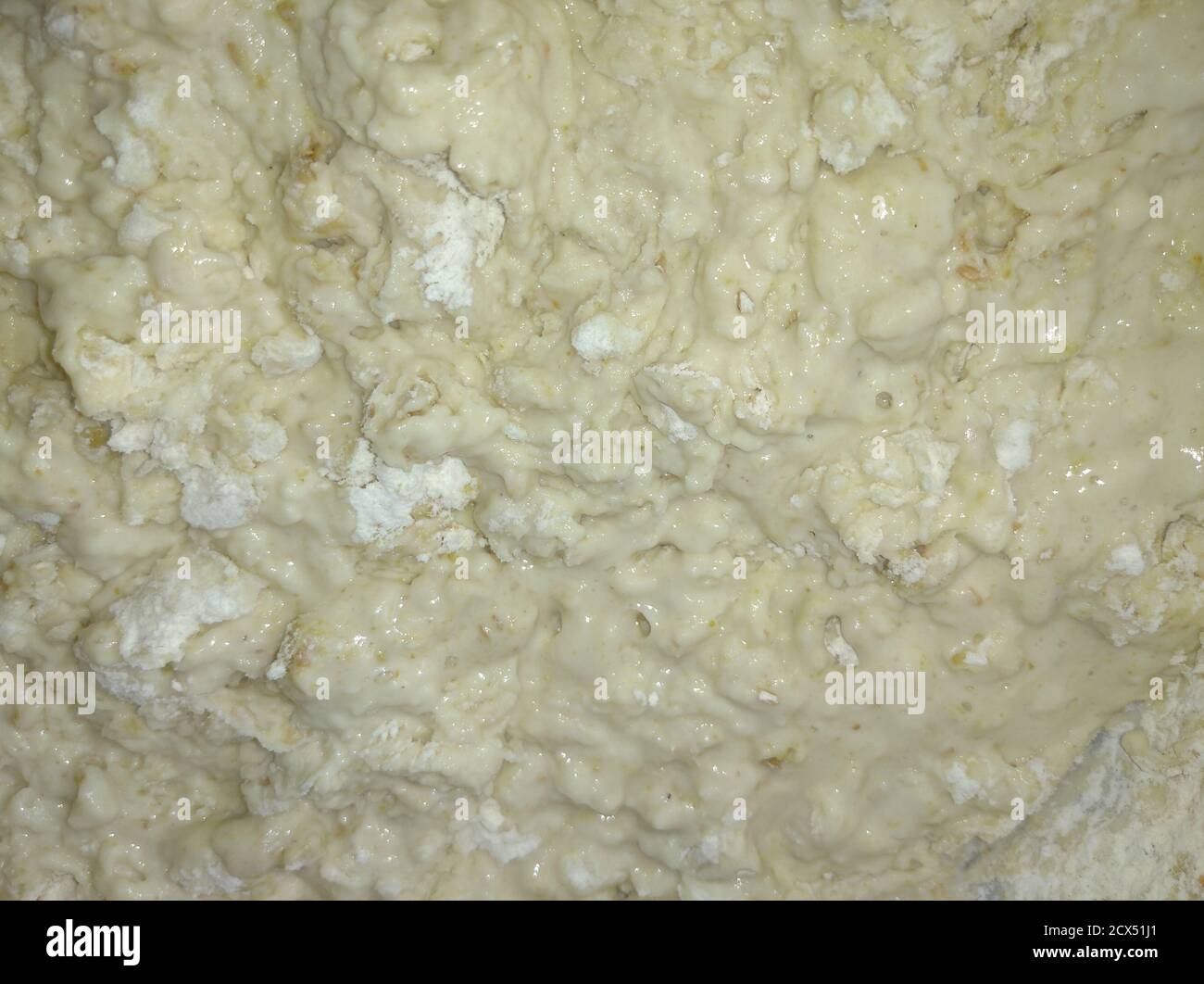 impastare l'impasto dalla farina di grano Foto Stock