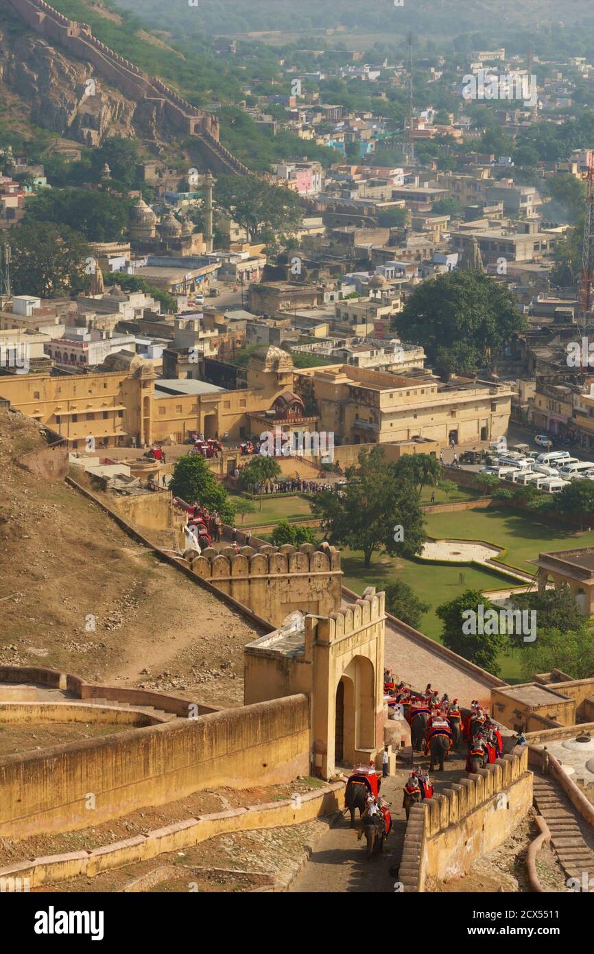 Corse di elefanti per i turisti con il percorso fino al Forte Amber, Amer, Jaipur, Rajasthan, India Foto Stock