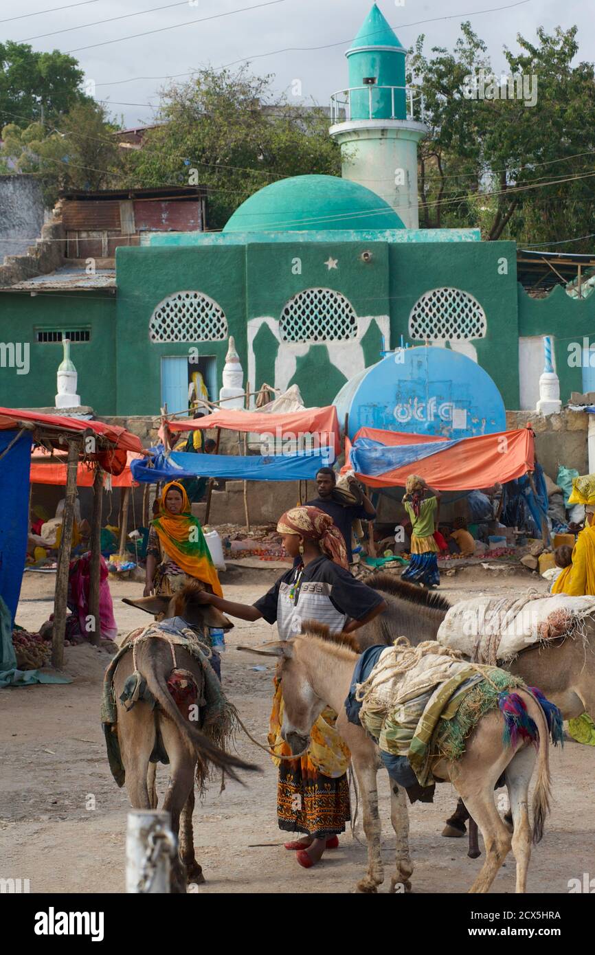Donna Oromo con donkey al mercato nella città vecchia, Harar, Etiopia Foto Stock