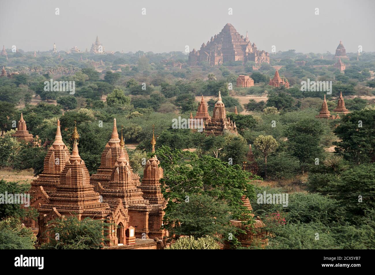 Vista su tutta la pianura di pagane da Dhammayazika paya. La Birmania. Bagan, Myanmar Foto Stock