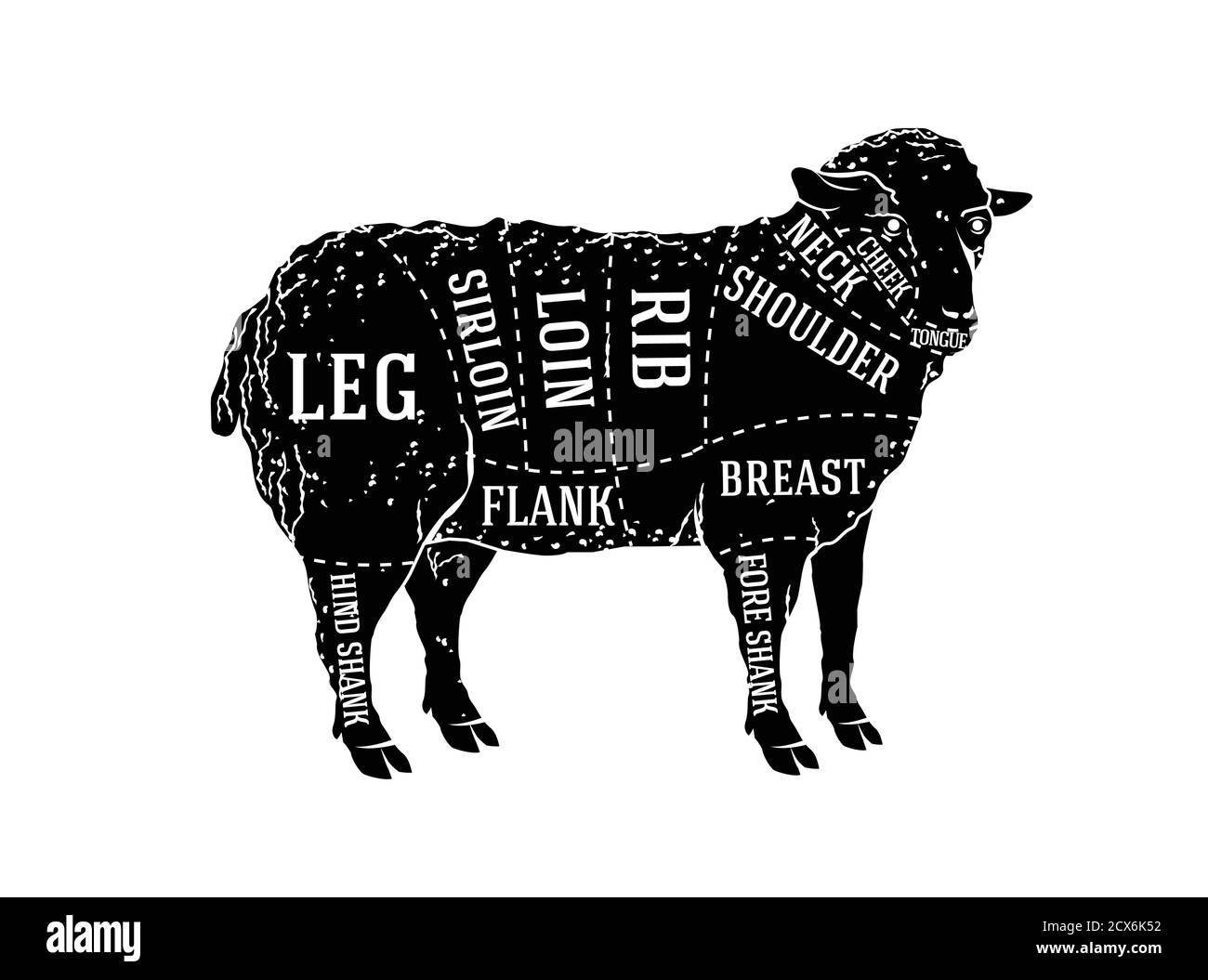 Guida diagramma macellaio per il taglio di agnello Illustrazione Vettoriale