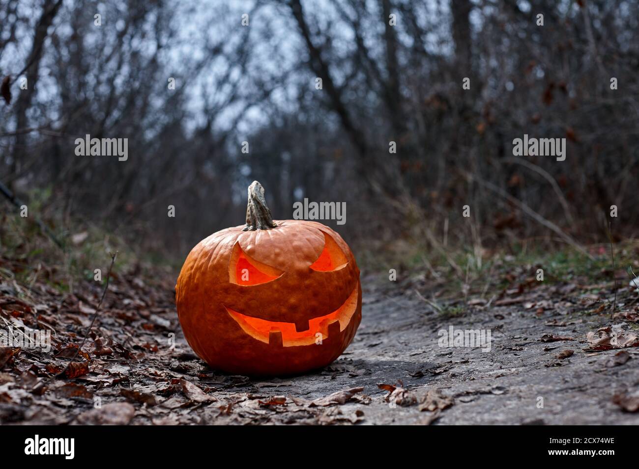 Halloween zucca che brucia in foresta di notte, concetto di vacanza Foto Stock