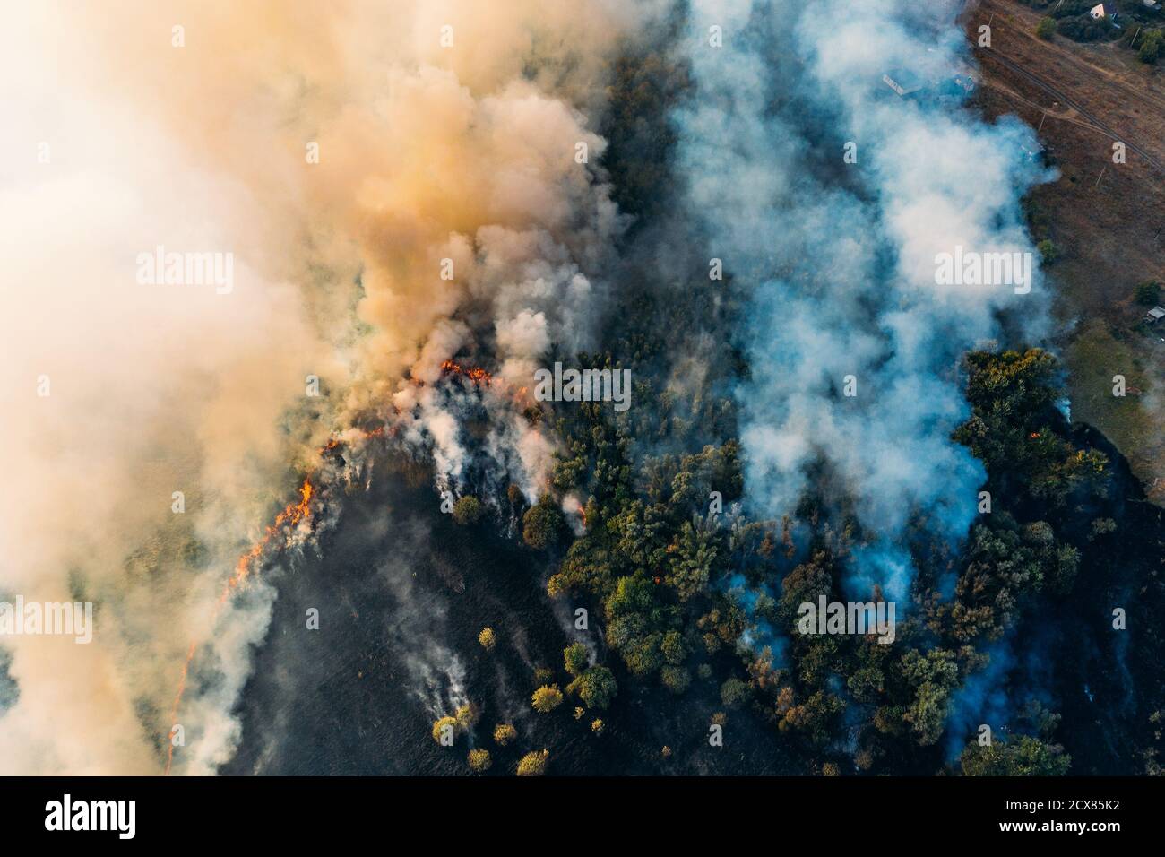 Fuoco in natura con fumo, vista aerea dal drone. Bruciando erba secca e alberi. Disastro naturale. Foto Stock