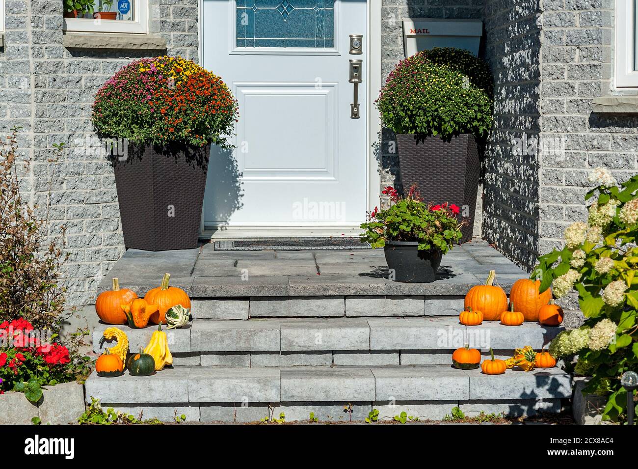 Zucche e zucche all'ingresso anteriore Foto Stock