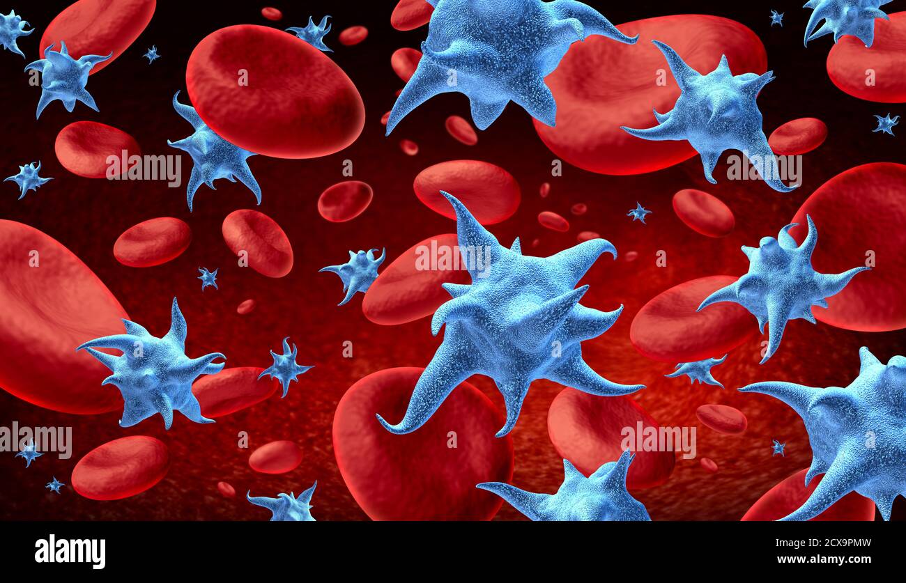 Concetto di anatomia delle piastrine nel sangue e dei trombociti come simbolo delle piastrine attivate come rappresentazione 3D. Foto Stock
