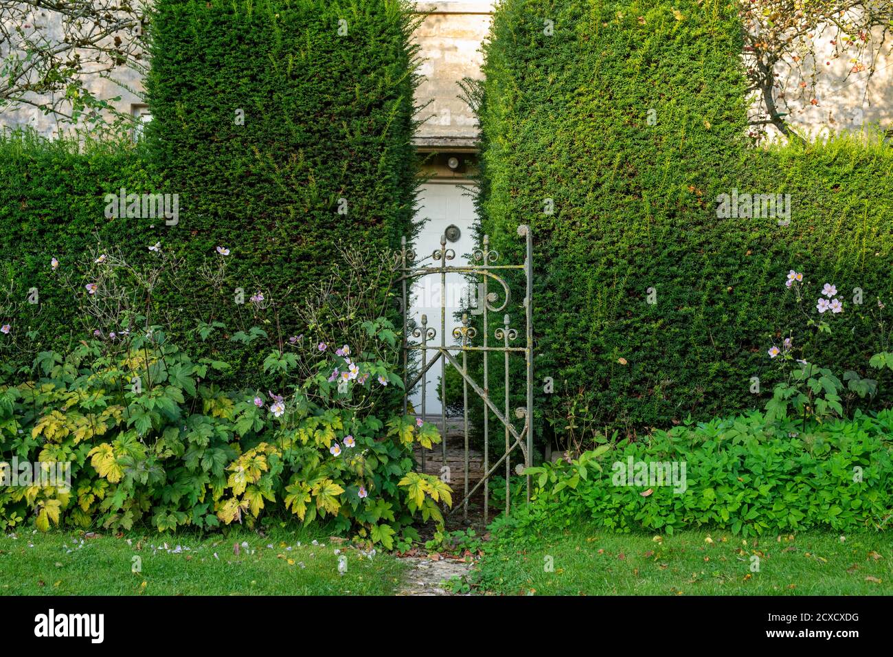 Vecchio cancello del giardino e siepe della scatola davanti ad una casa di pietra di cotswold all'inizio dell'autunno. Taynton, Cotswolds, Oxfordshire, Inghilterra Foto Stock