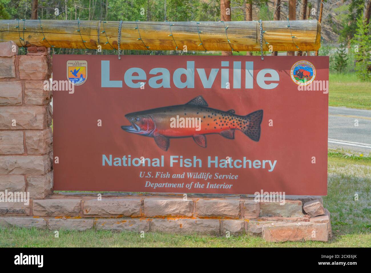 Il cartello per Leadville National Fish Hatchery. La trota di Cutgola di Greenback si sviluppa là nelle Montagne Rocciose del Colorado Foto Stock