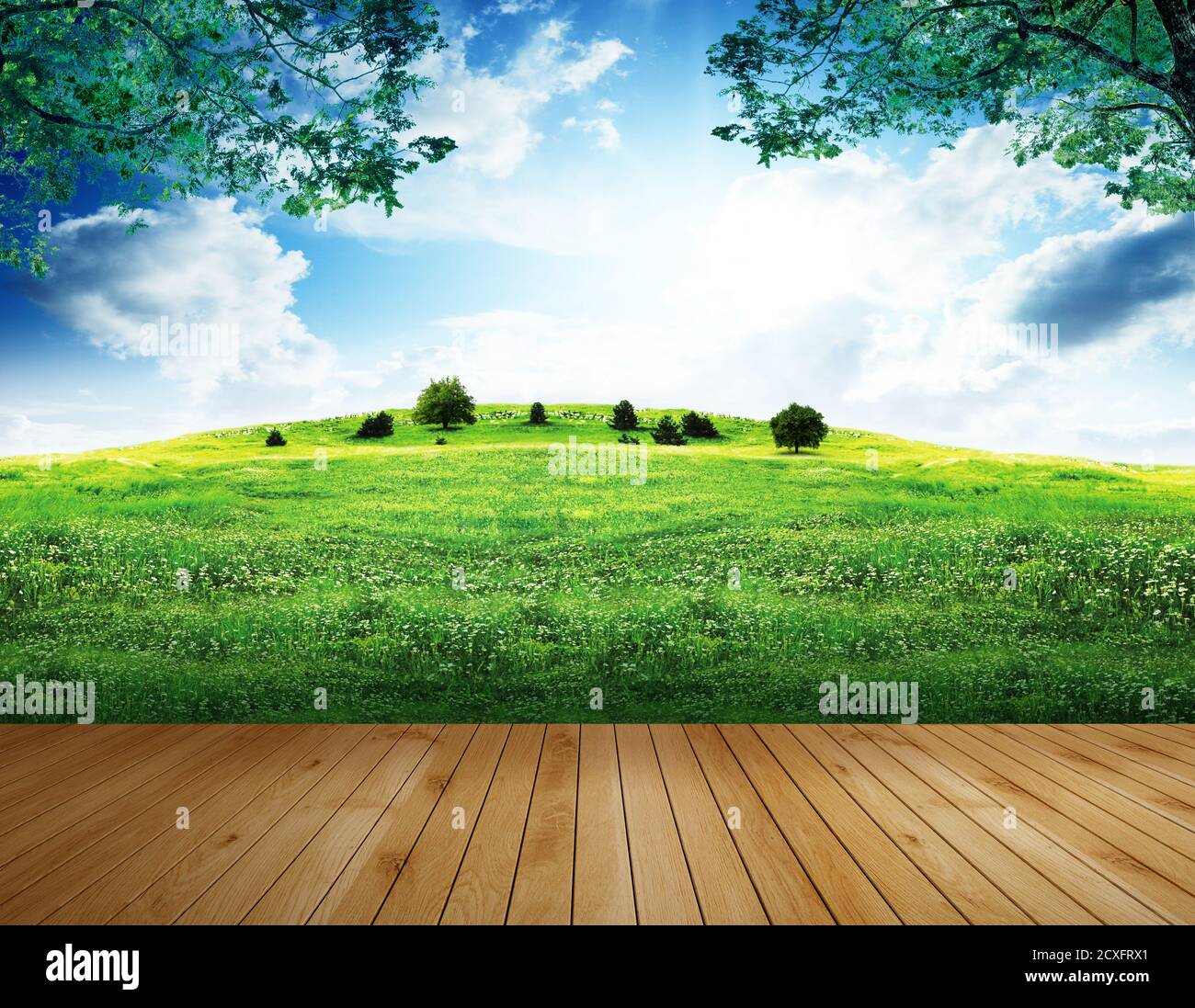 Tavola di legno o terrazza con campi di erba verde in sole giorno e cielo blu sfondo Foto Stock