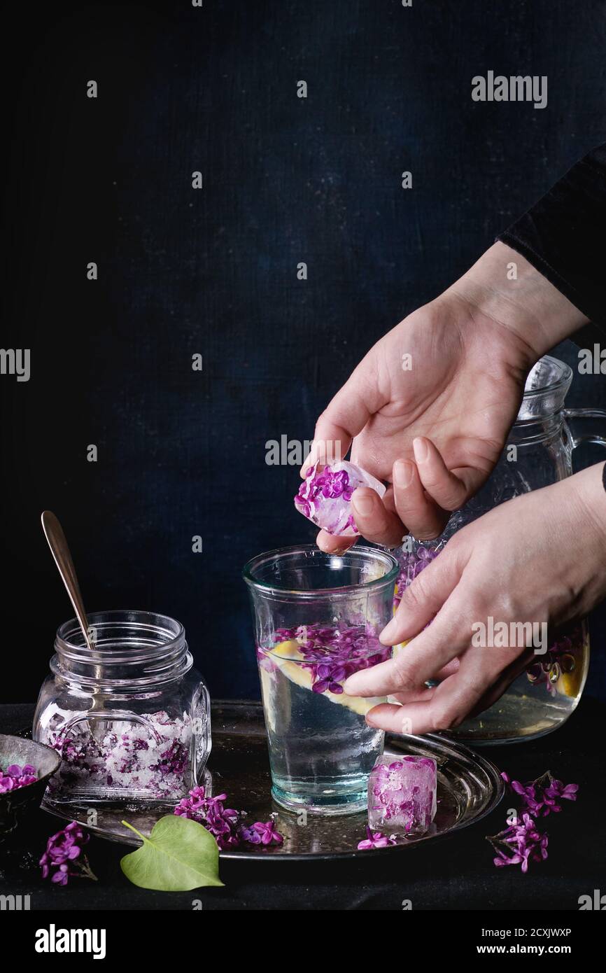 Mani Femail mettere i cubetti di ghiaccio con fiori nel bicchiere di  limonata lilla con il limone. Il vasetto di vetro di confetti fiori lilla e  la brocca sulla tovaglia nero ov