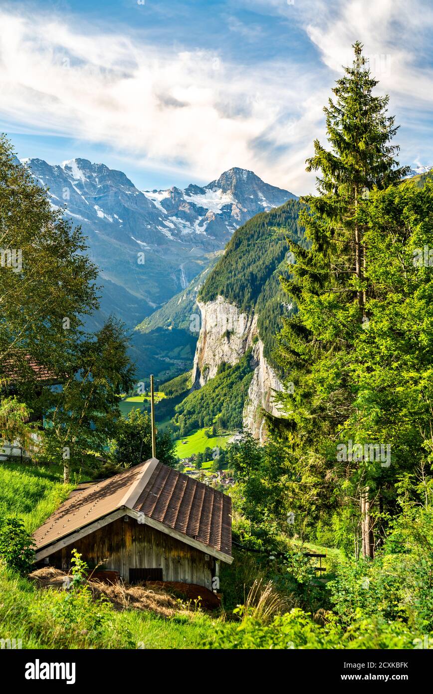 Vista sulla valle di Lauterbrunnen nelle Alpi svizzere Foto Stock