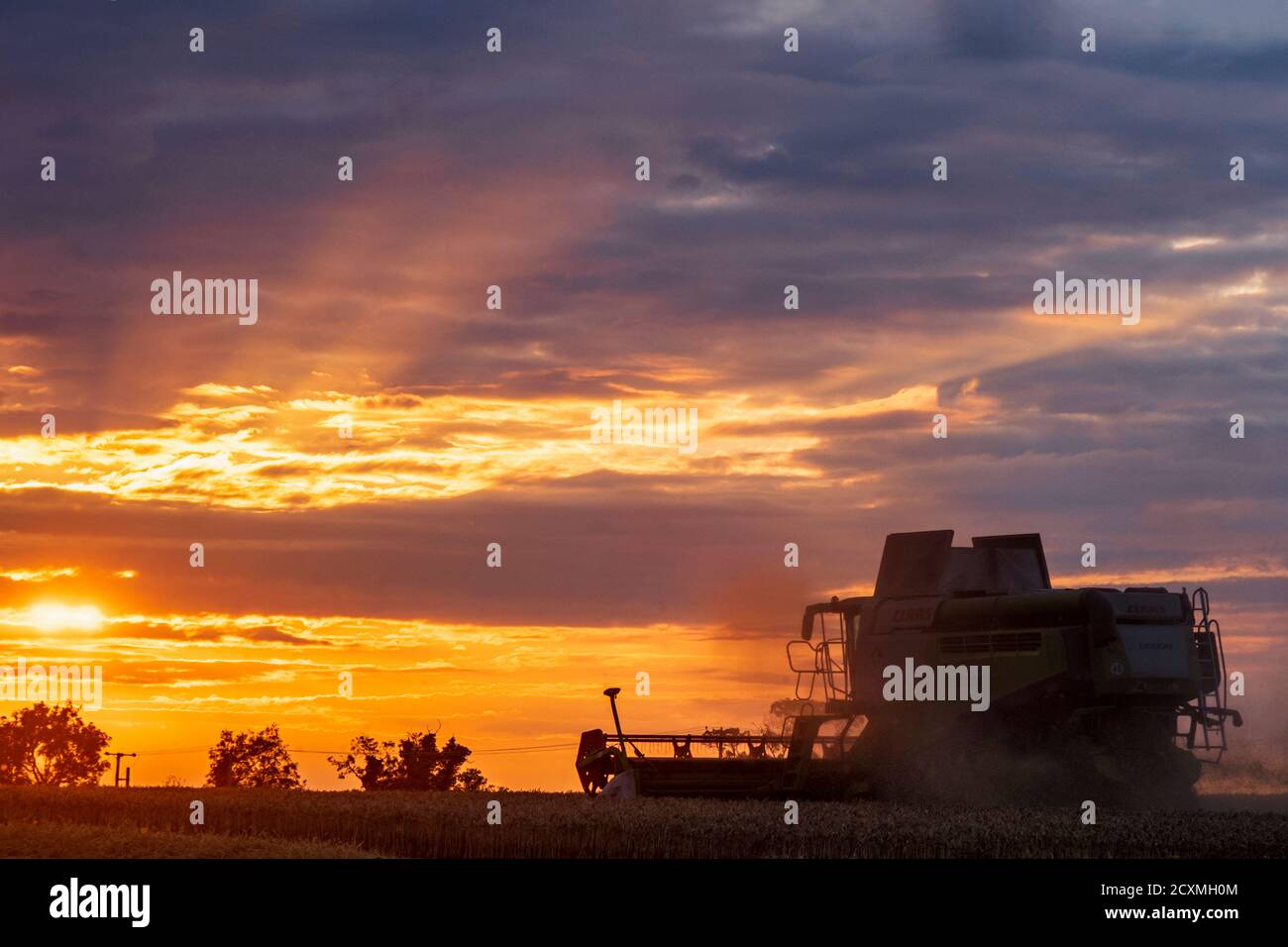 Mietitrebbia che lavora su un campo al tramonto a Norfolk Foto Stock