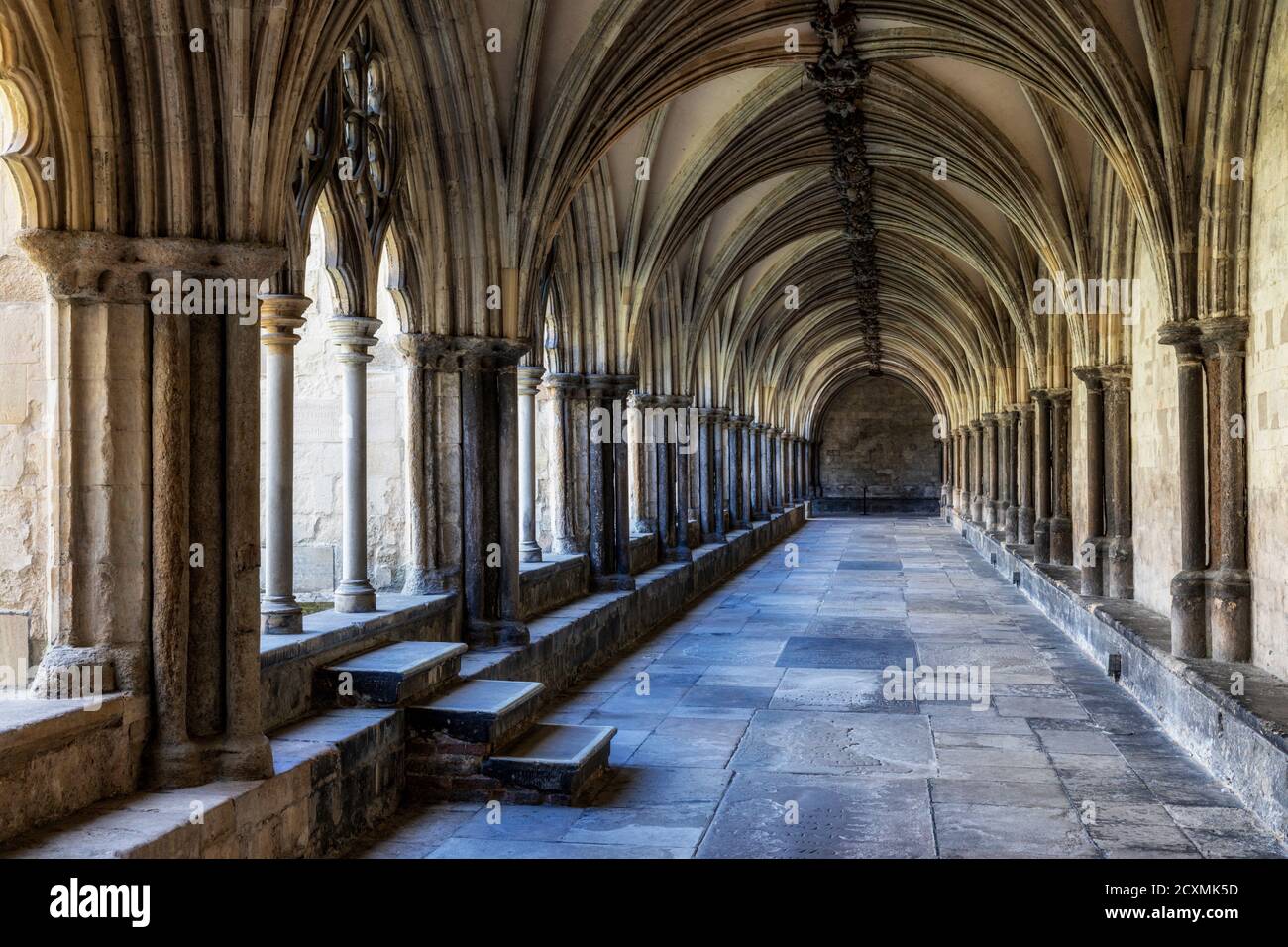 Norwich Cathedral chiostri, Norfolk, Inghilterra Foto Stock
