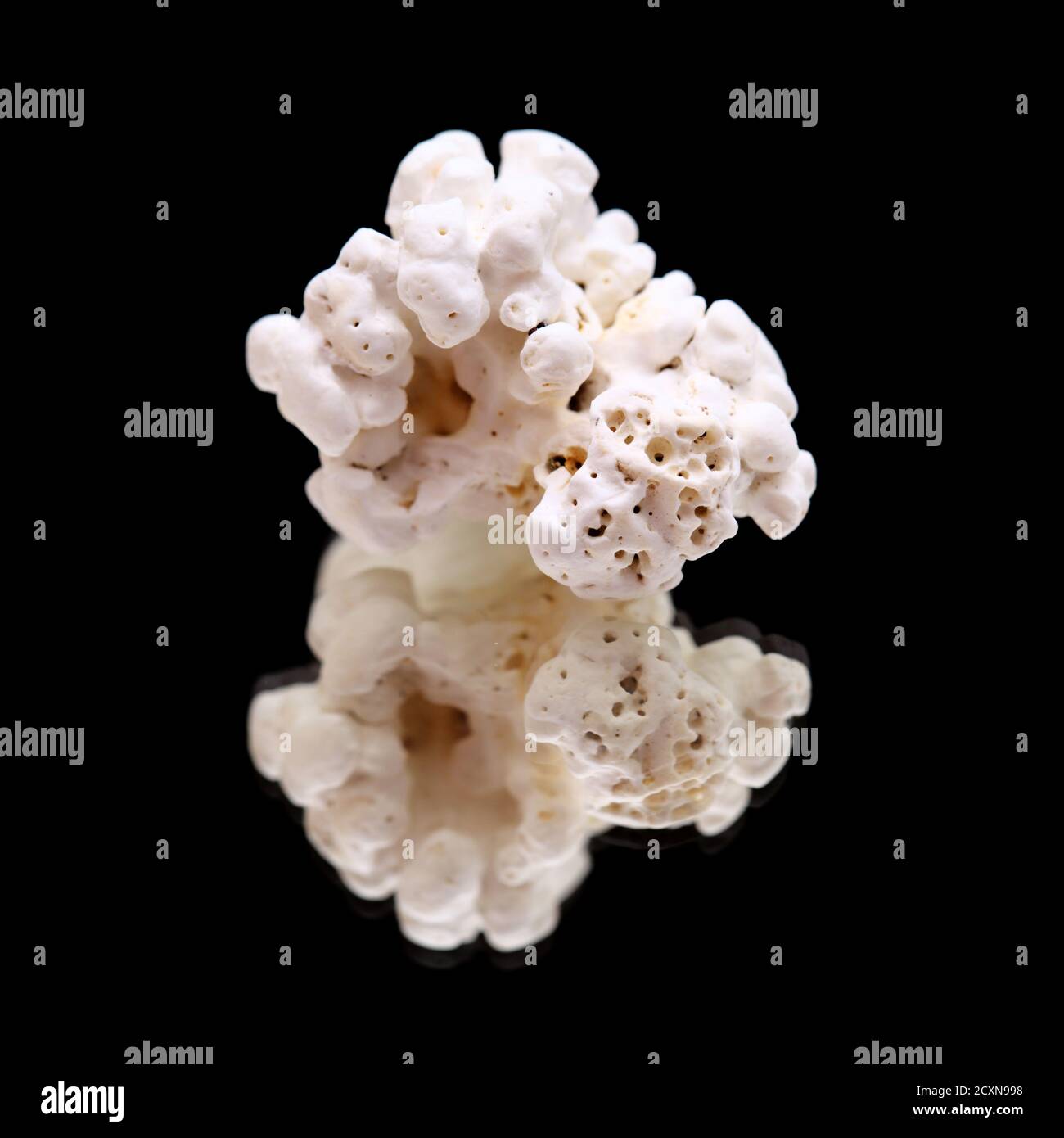 Alghe Rhodolith, popolarmente conosciute come popcorn, dalla spiaggia di Caleta de Famara, Lanzarote Foto Stock