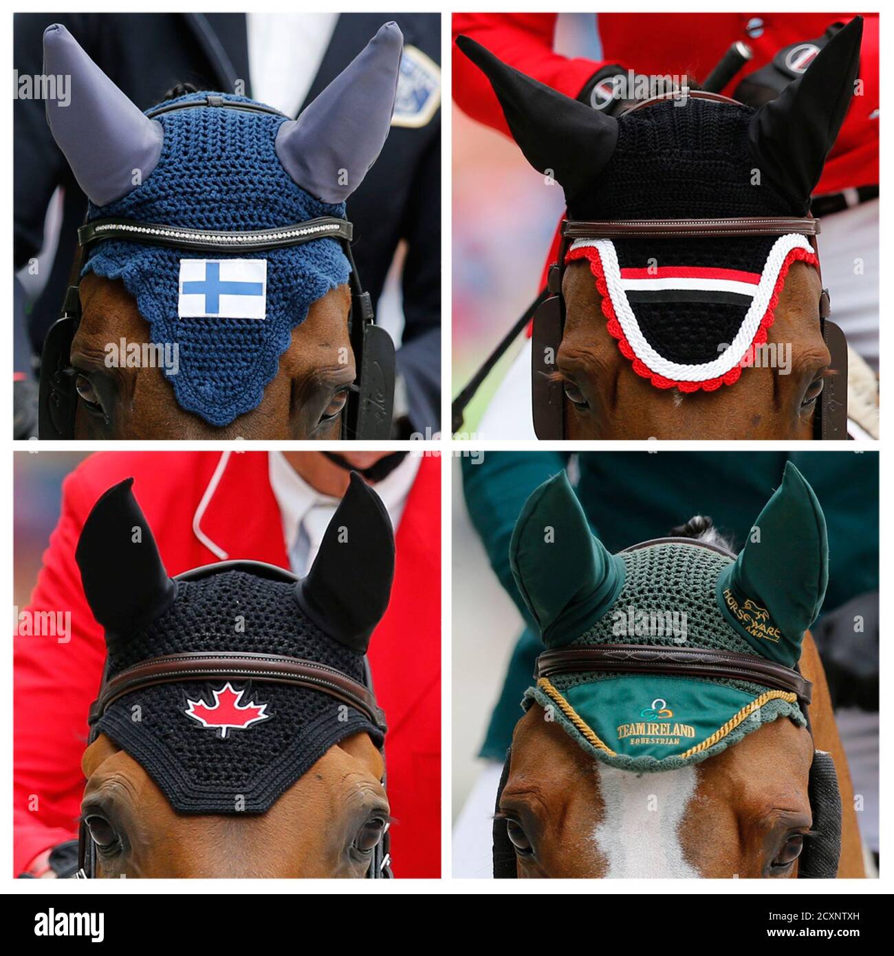 El Zorro Immagini E Fotos Stock Alamy