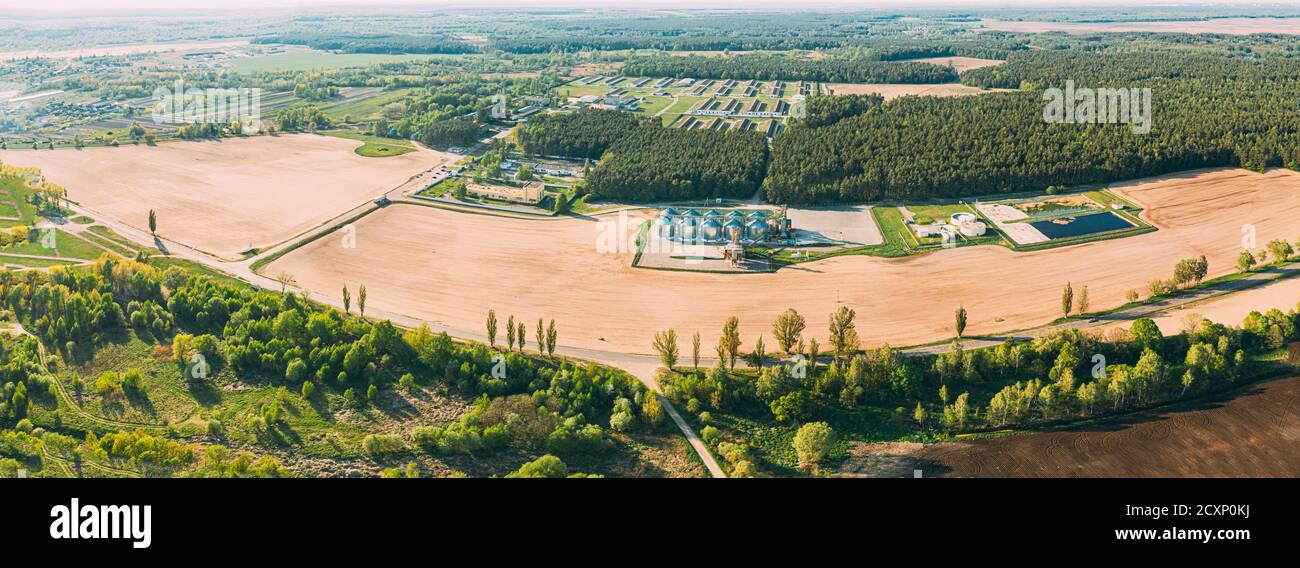 Vista aerea Granaio, complesso di essiccamento della granella, cereali commerciali o silos di semi nel paesaggio rurale della primavera del sole. Silos per l'essiccatore del mais, terminale per la granella interna Foto Stock