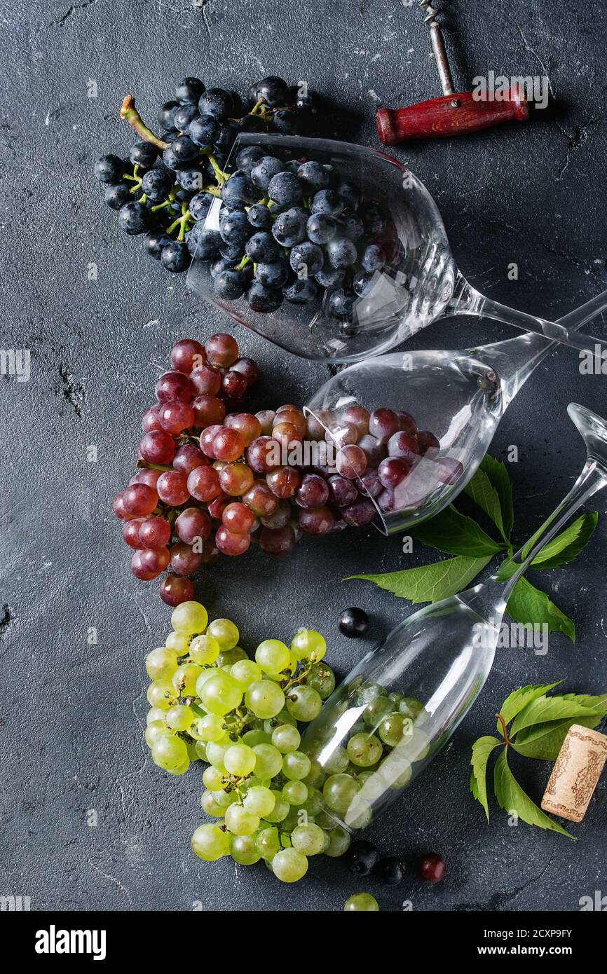 Varietà di tre tipo fresche Uve mature blu scuro, rosso e verde in giacenti diversi bicchieri di vino con il vecchio cavatappi nero su sfondo di texture. Parte superiore Foto Stock