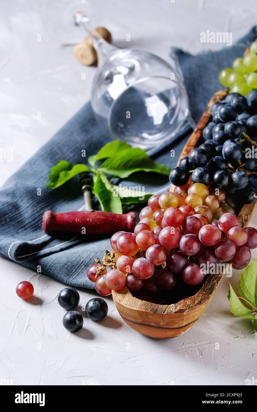 Varietà di tre tipo fresche Uve mature blu scuro, rosso e verde in ciotola di legno con vuoto la posa di vetro del vino, vecchio cavatappi e foglie verdi su grigio Foto Stock
