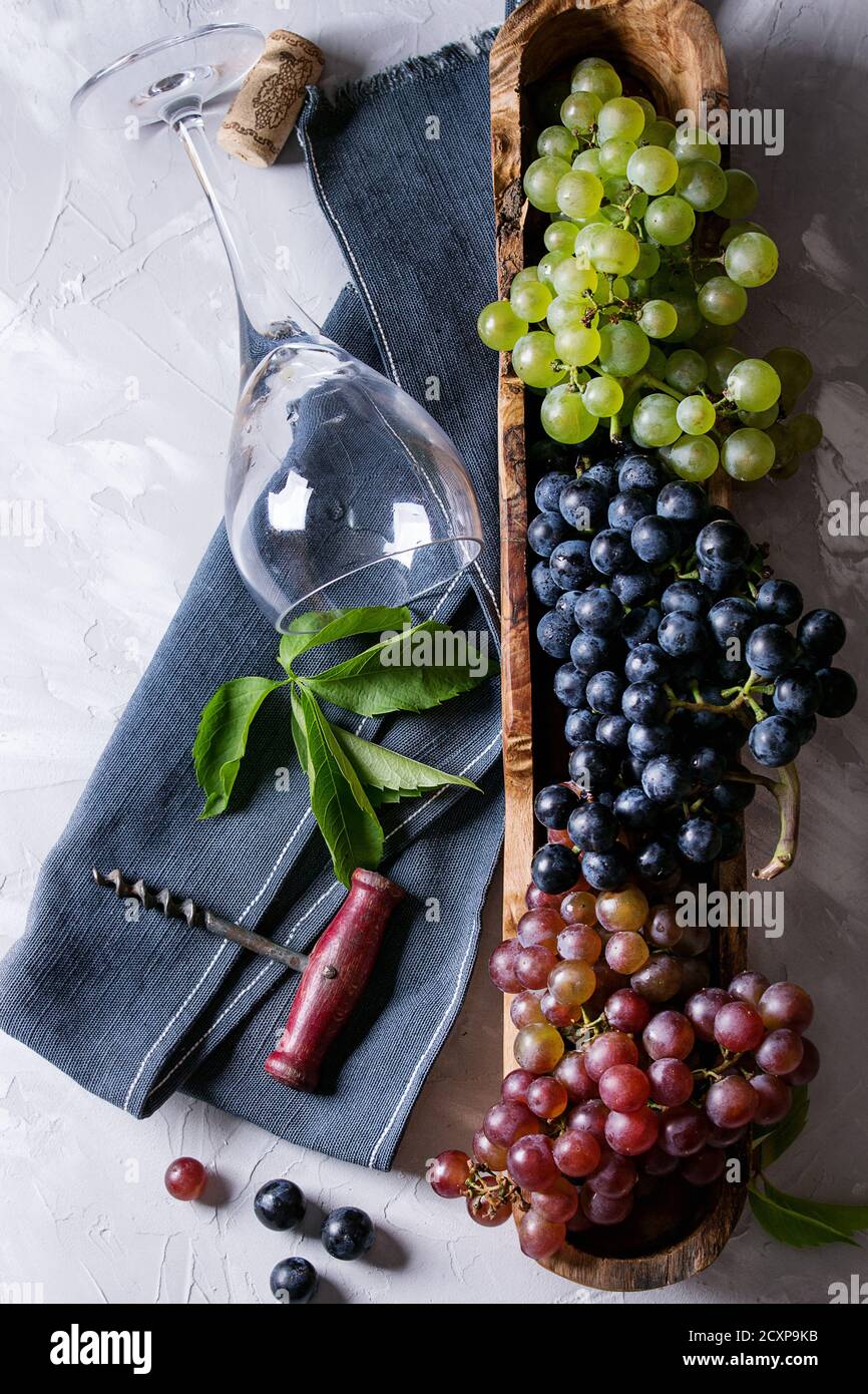 Varietà di tre tipo fresche Uve mature blu scuro, rosso e verde in ciotola di legno con vuoto la posa di vetro del vino, vecchio cavatappi e foglie verdi su grigio Foto Stock