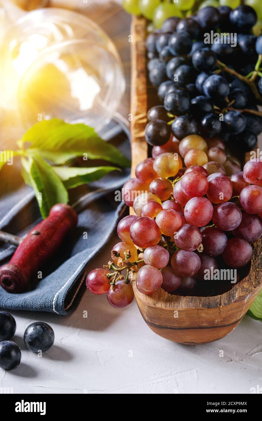 Varietà di tre tipo fresche Uve mature blu scuro, rosso e verde in ciotola di legno con vuoto la posa di vetro del vino, vecchio cavatappi e foglie verdi su grigio Foto Stock