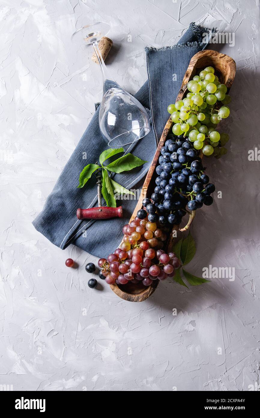 Varietà di tre tipo fresche Uve mature blu scuro, rosso e verde in ciotola di legno con vuoto la posa di vetro del vino, vecchio cavatappi e foglie verdi su grigio Foto Stock