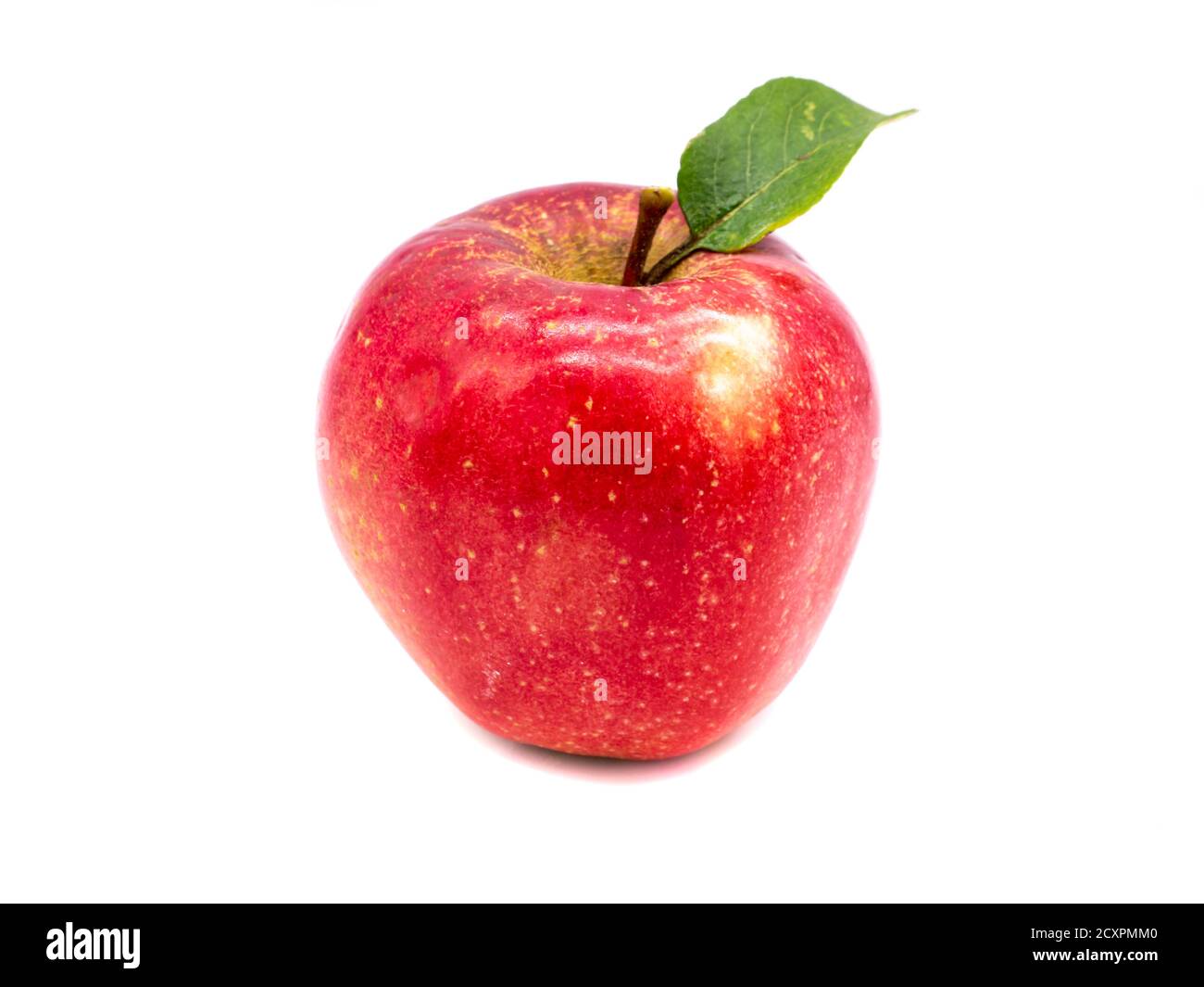 Apple rosso isolato su sfondo bianco Foto Stock