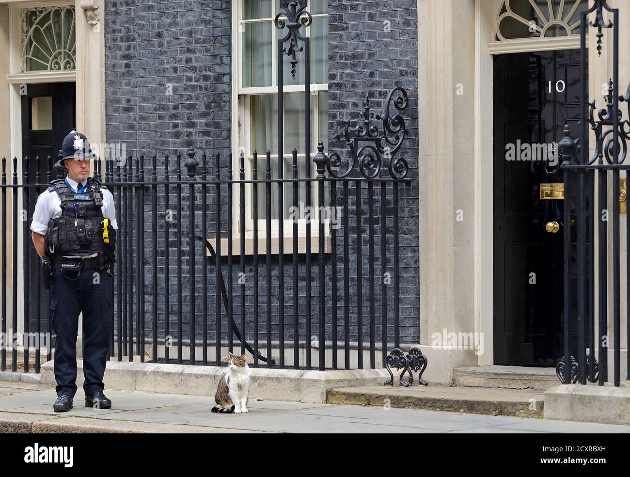 Larry the Cat - Capo Mouser presso l'ufficio del Gabinetto - con la sua sicurezza personale a Downing Street, 30 settembre 2020 Foto Stock