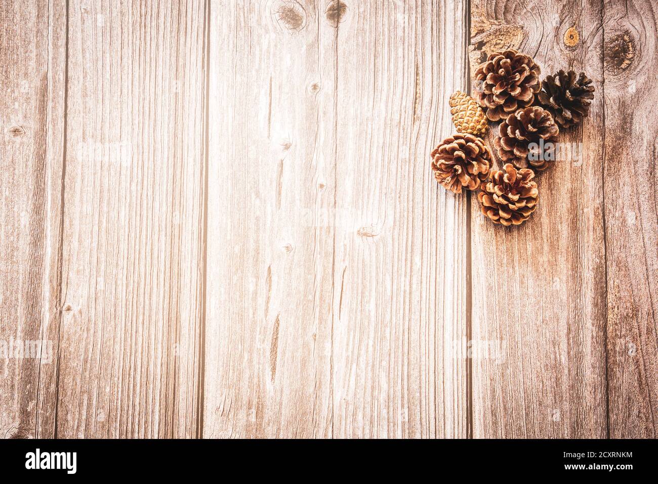 Coni di pino su sfondo di legno con spazio di copia, uno sfondo di autunno Foto Stock