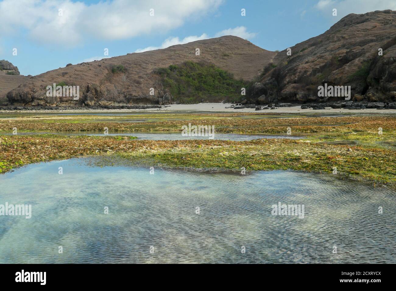 La bassa marea rivela le alghe e le piscine di marea nell'Oceano Indiano. Le vasche di marea sono sacche isolate di acqua di mare che si raccolgono in punti bassi lungo la riva Foto Stock