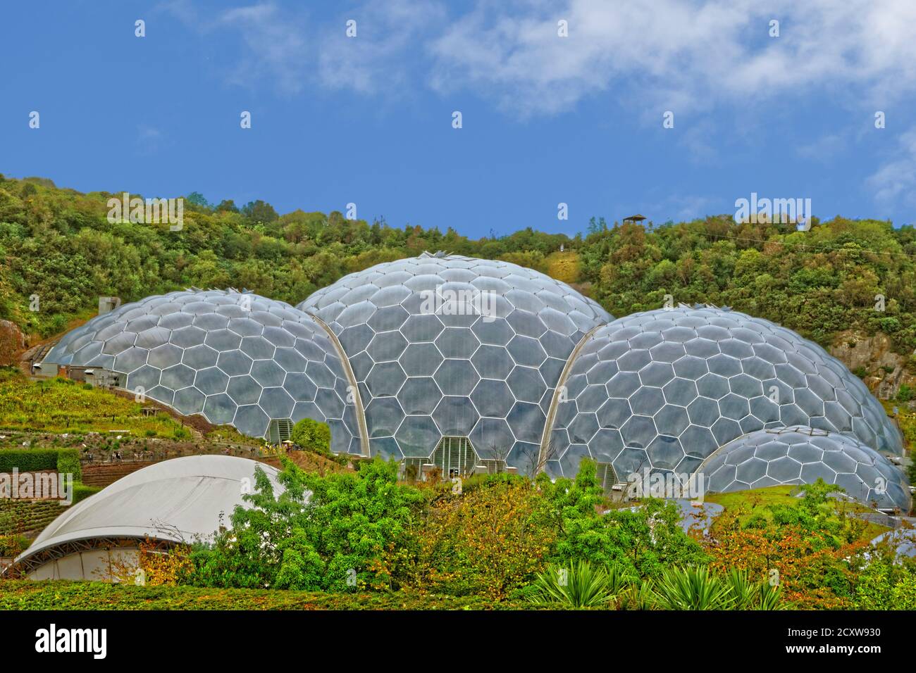 The Eden Project Biomes, Bodelva vicino a St. Austell, Cornovaglia, Inghilterra. Foto Stock