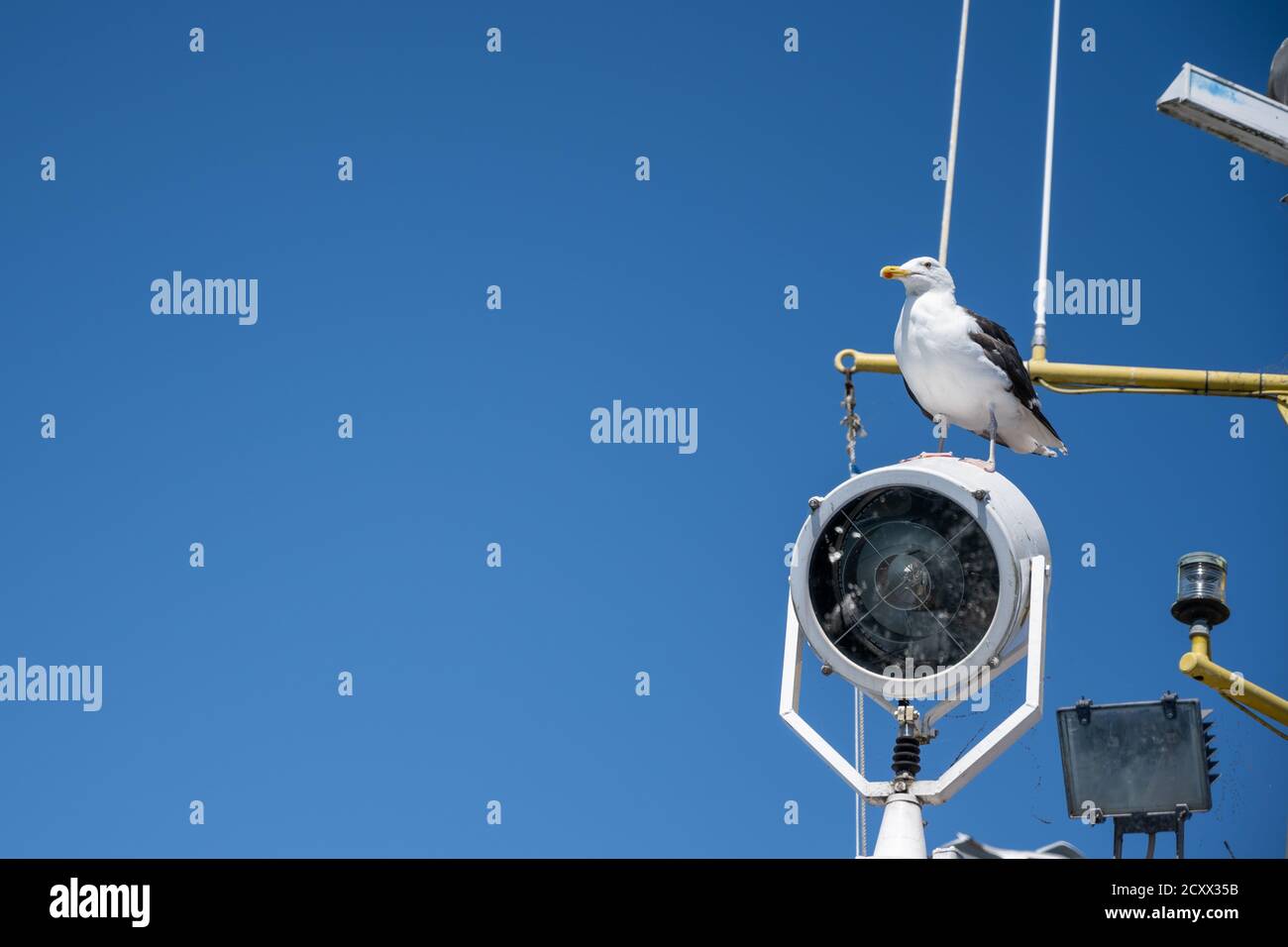 Un gabbiano su una barca da pesca. Cielo blu con sottili nuvole bianche sullo sfondo Foto Stock