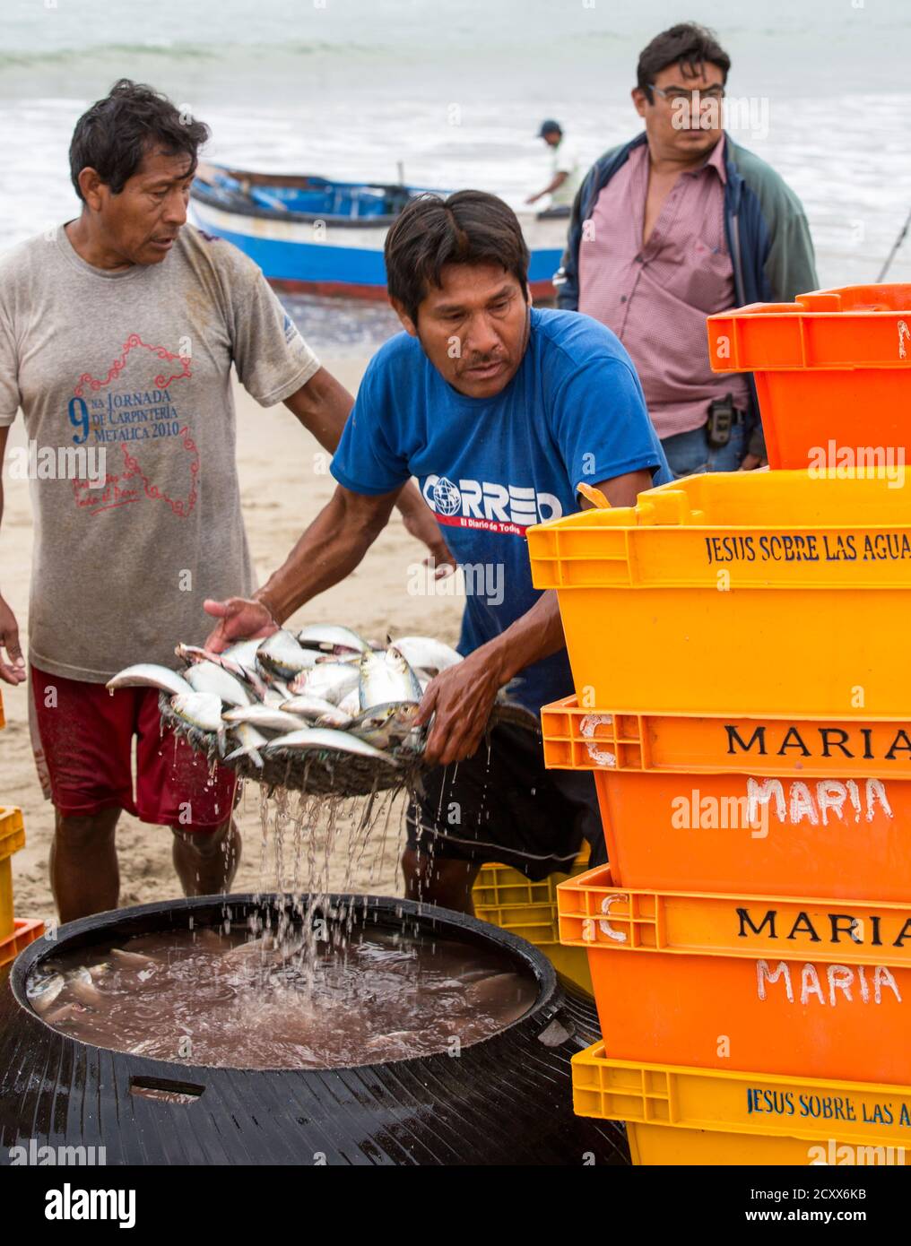 Puerto Pizarro, Ecuador - 20 AGO 2014: uomo trasferisce bin di pesce in scala per essere pagato Foto Stock